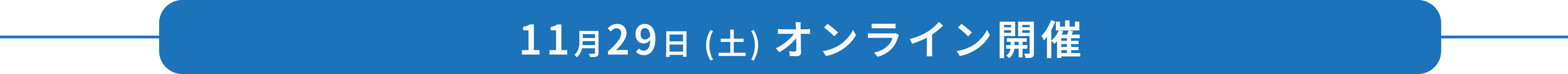 11月29日（土） プログラム