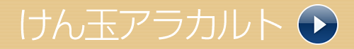 けん玉アラカルト